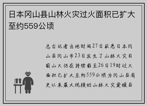 日本冈山县山林火灾过火面积已扩大至约559公顷